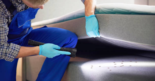 Best Local Pest Control Services  in Sierra View, PA
