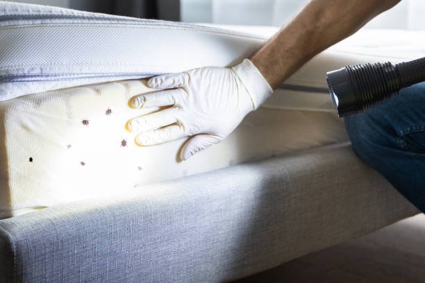 Pest Control for Restaurants in Sierra View, PA