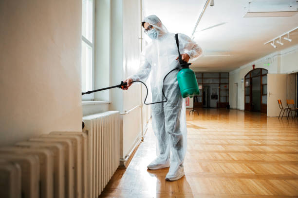 Wasp Removal Services in Sierra View, PA