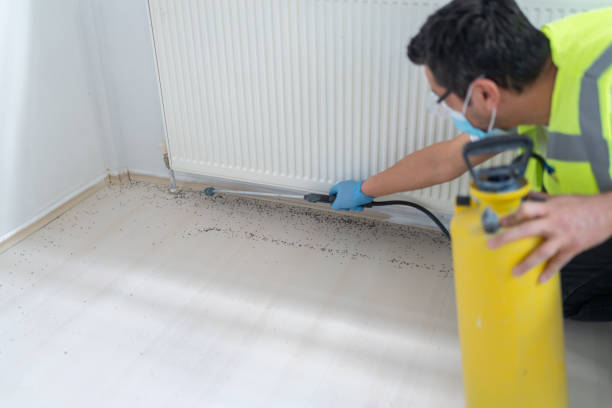 Best Ant Control Services  in Sierra View, PA