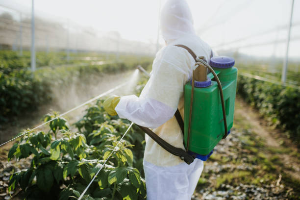 Best Pest Control Near Me in Sierra View, PA